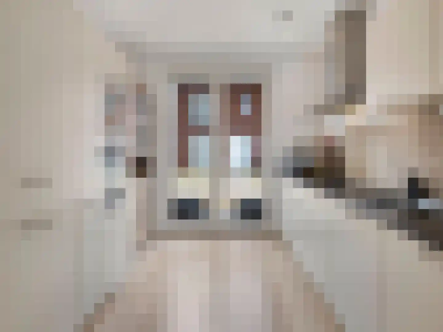 Beurszwam 7 Vleuten thumbnail 18