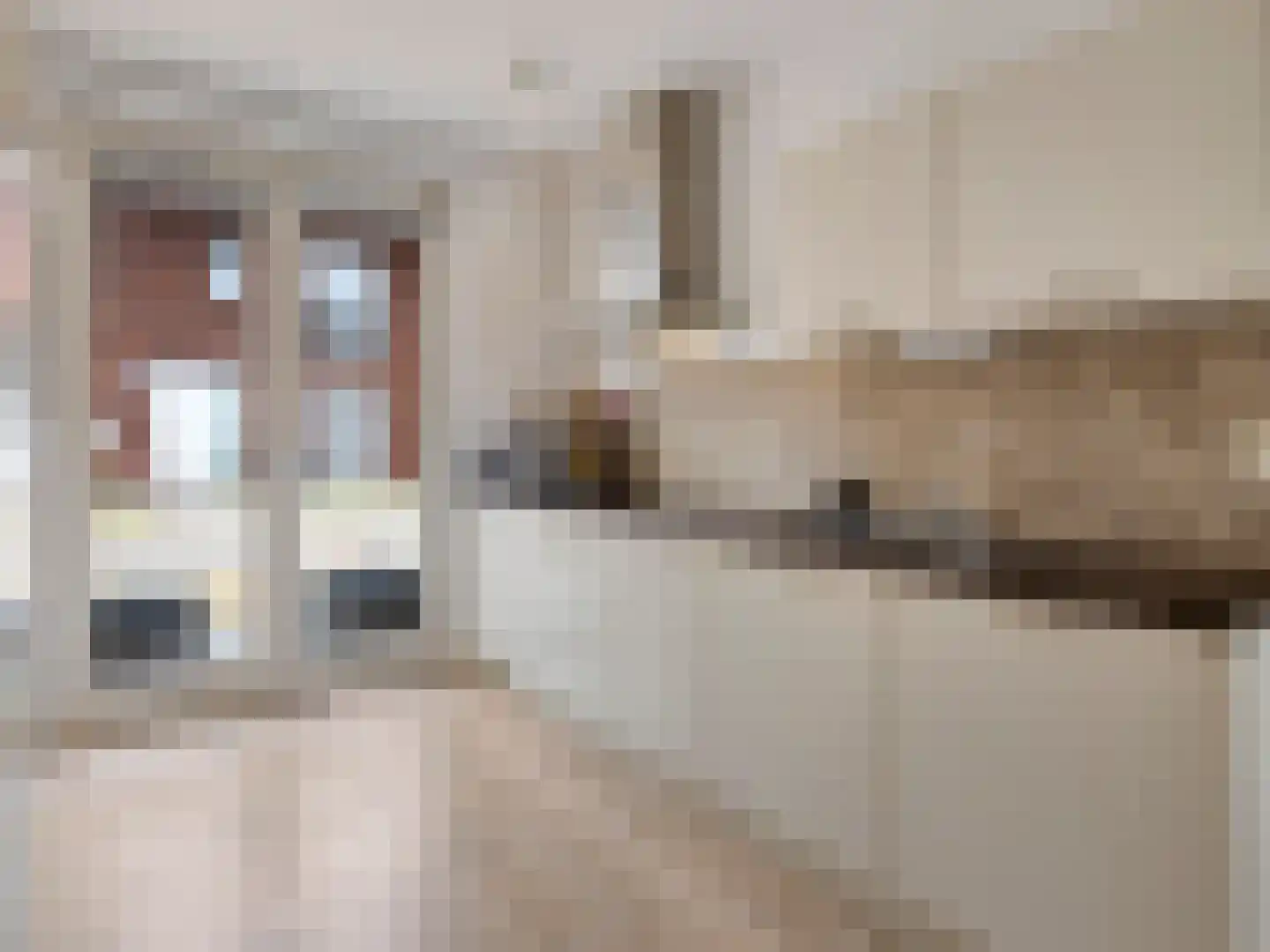 Beurszwam 7 Vleuten thumbnail 19