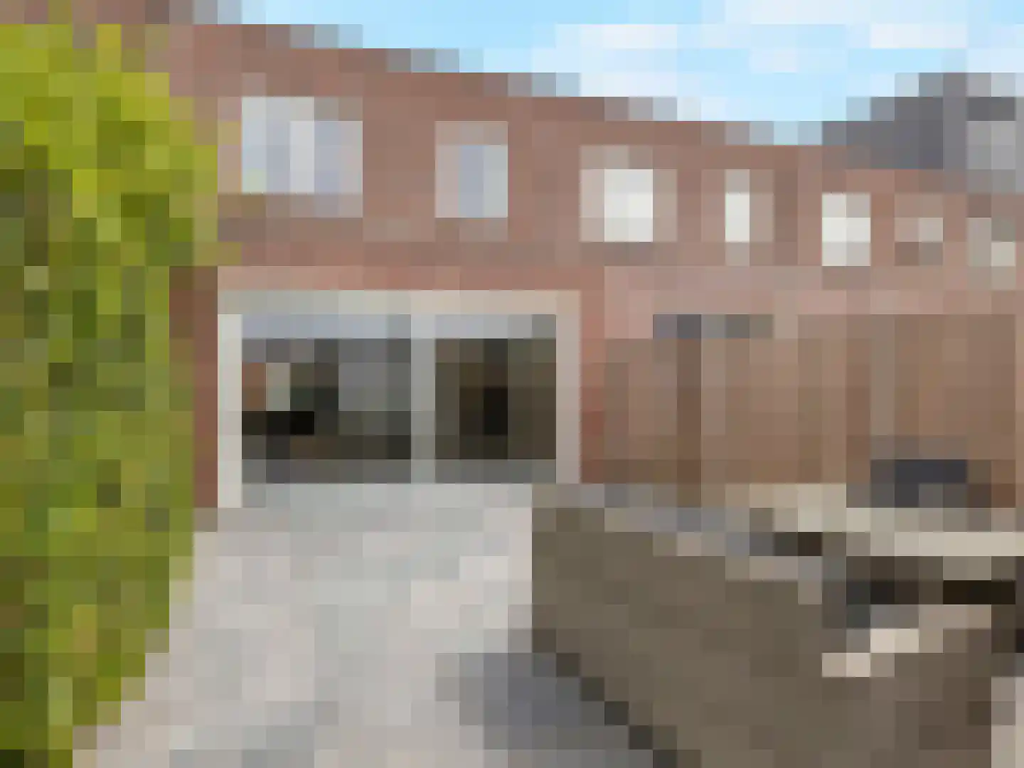 Beurszwam 7 Vleuten thumbnail 4