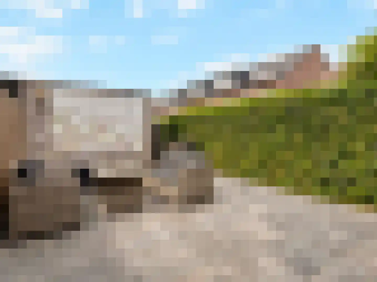 Beurszwam 7 Vleuten thumbnail 40