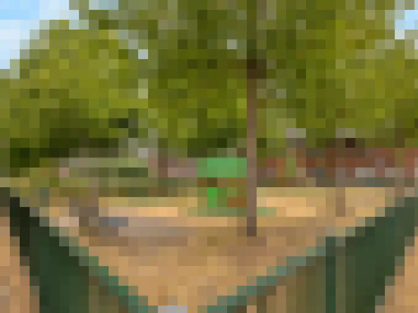 Beurszwam 7 Vleuten thumbnail 44