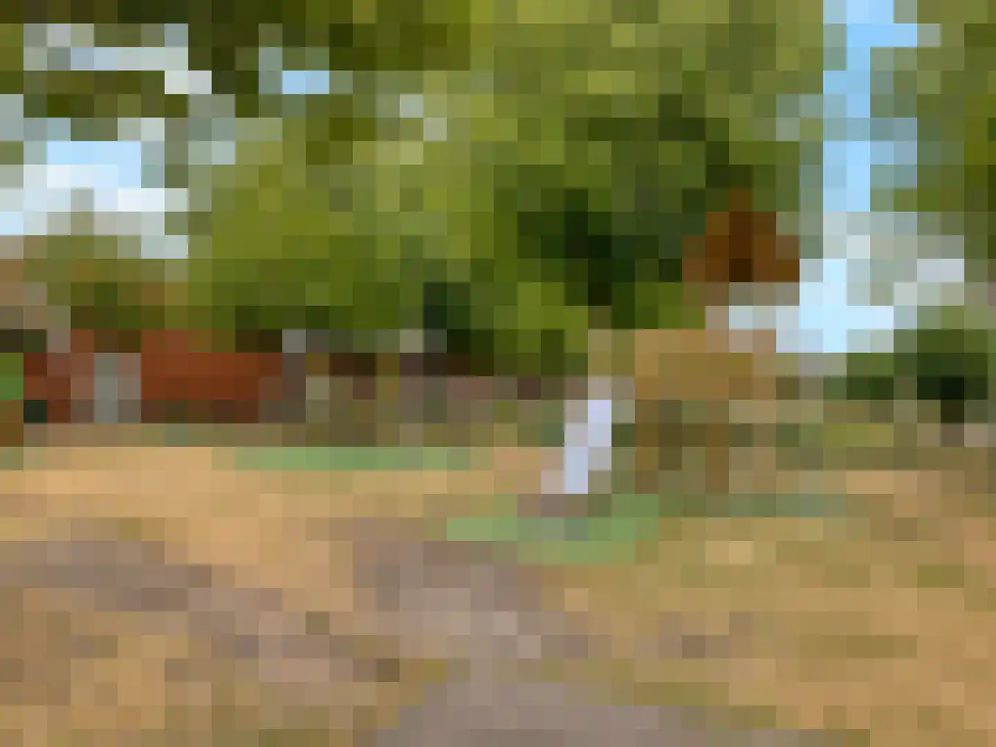 Beurszwam 7 Vleuten thumbnail 45