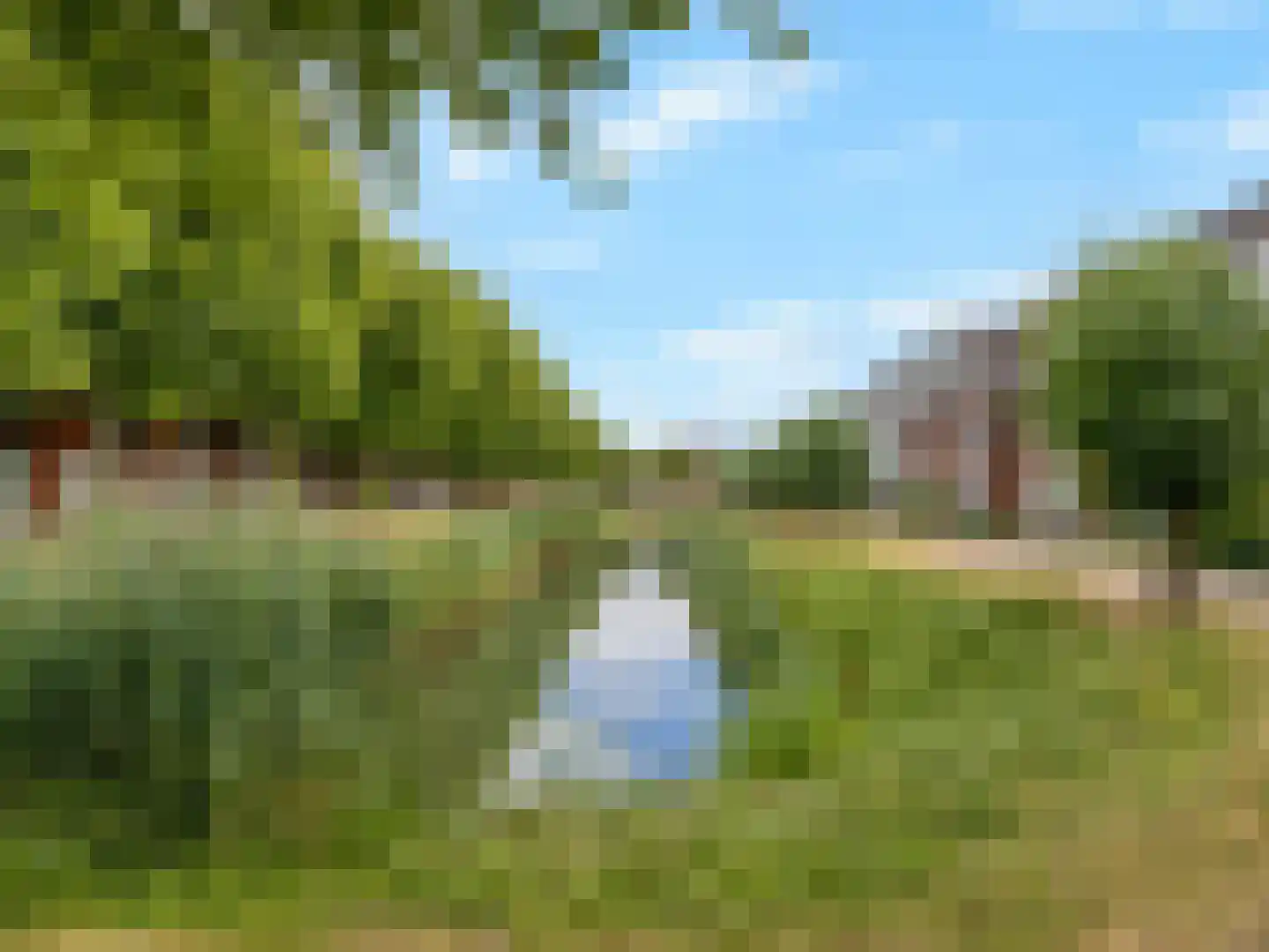 Beurszwam 7 Vleuten thumbnail 46