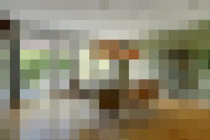 Beurtschip 13 Enkhuizen thumbnail 18