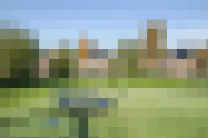 Beurtschip 30 Enkhuizen thumbnail 59