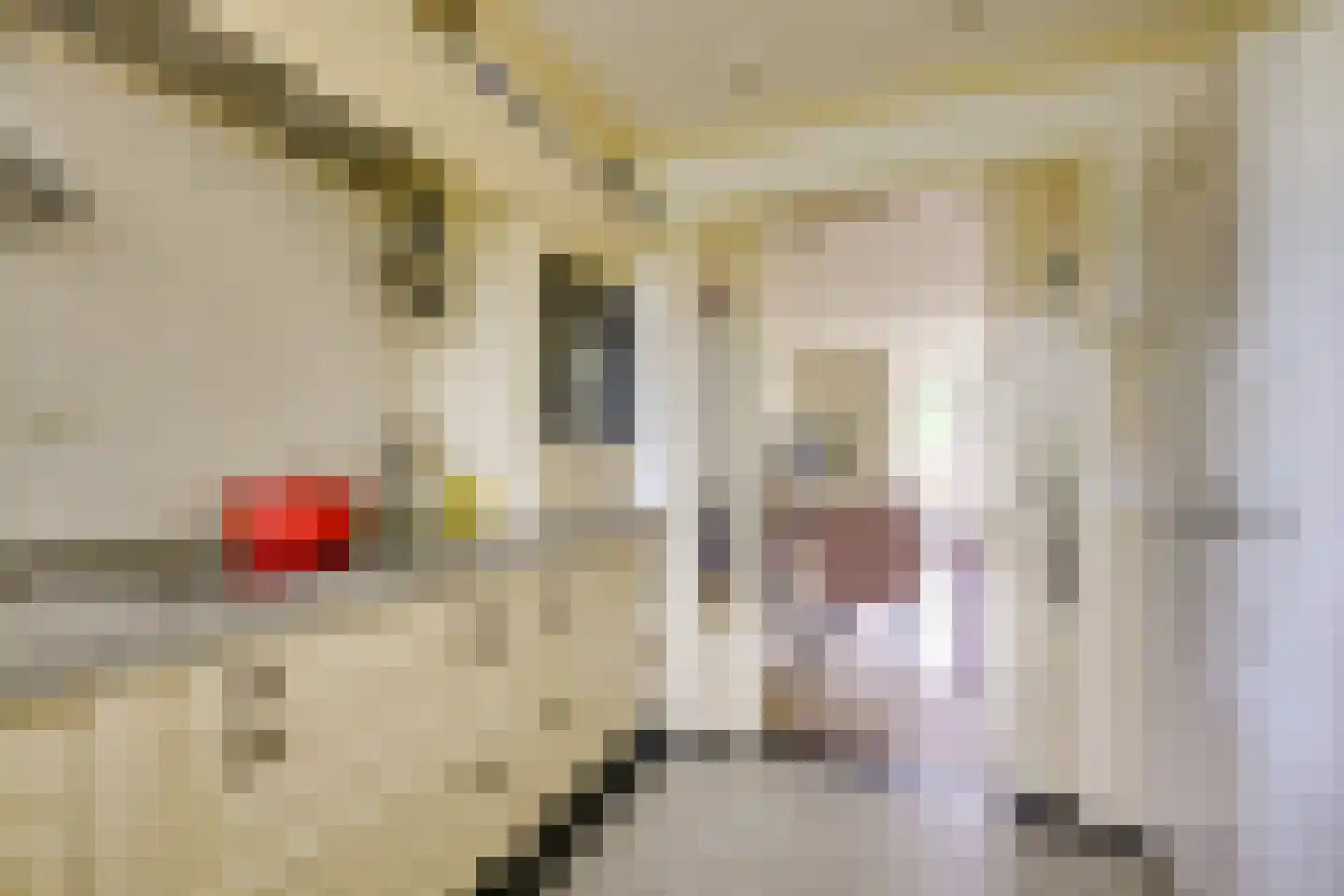 Beurtschipperserf 19 Houten thumbnail 10