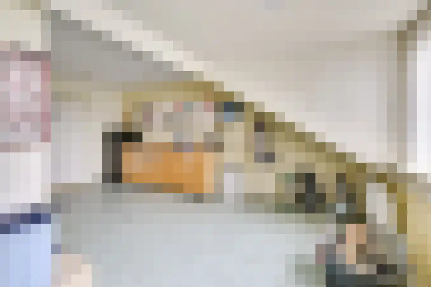 Beurtschipperserf 19 Houten thumbnail 27