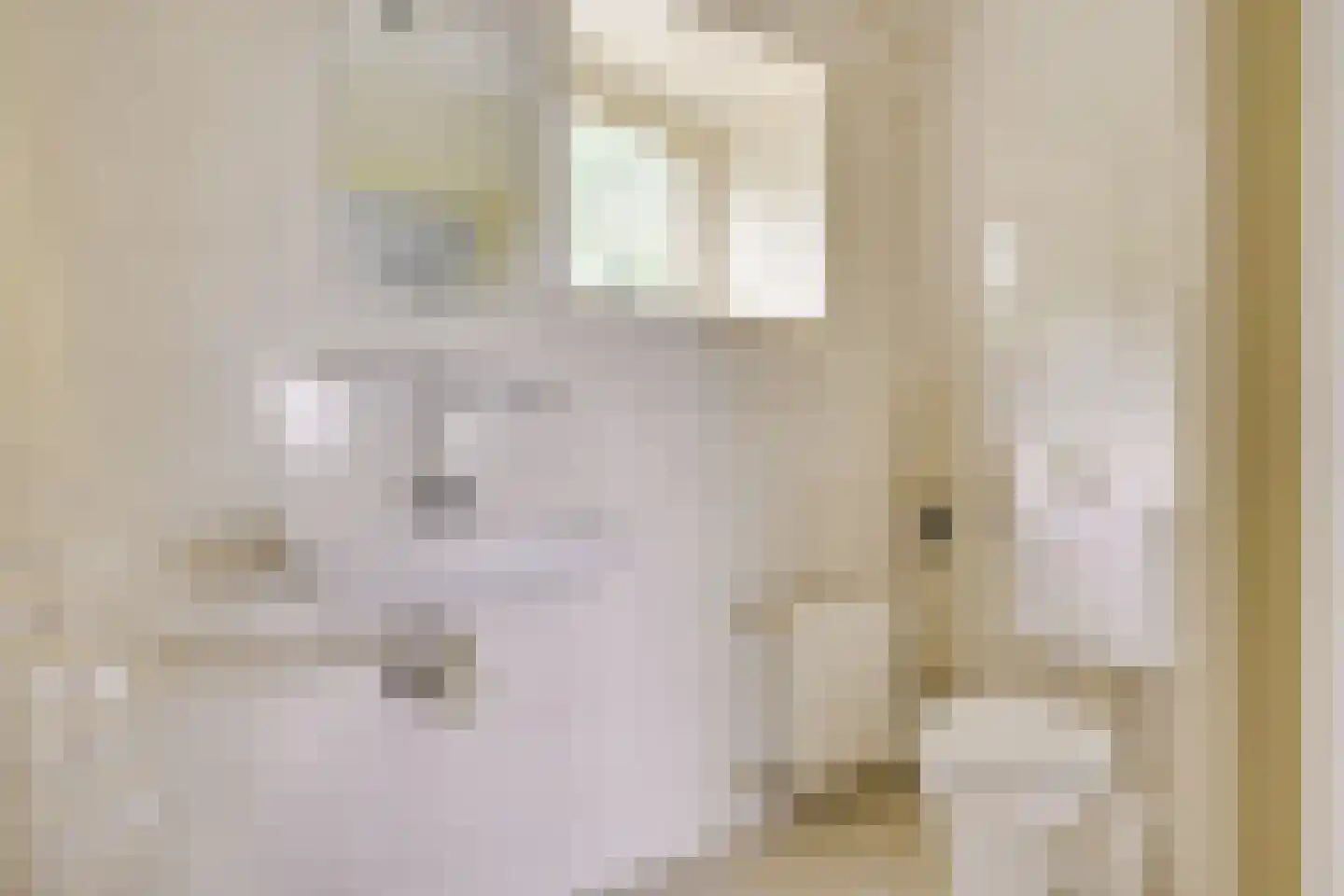 Beurtschipperserf 19 Houten thumbnail 28