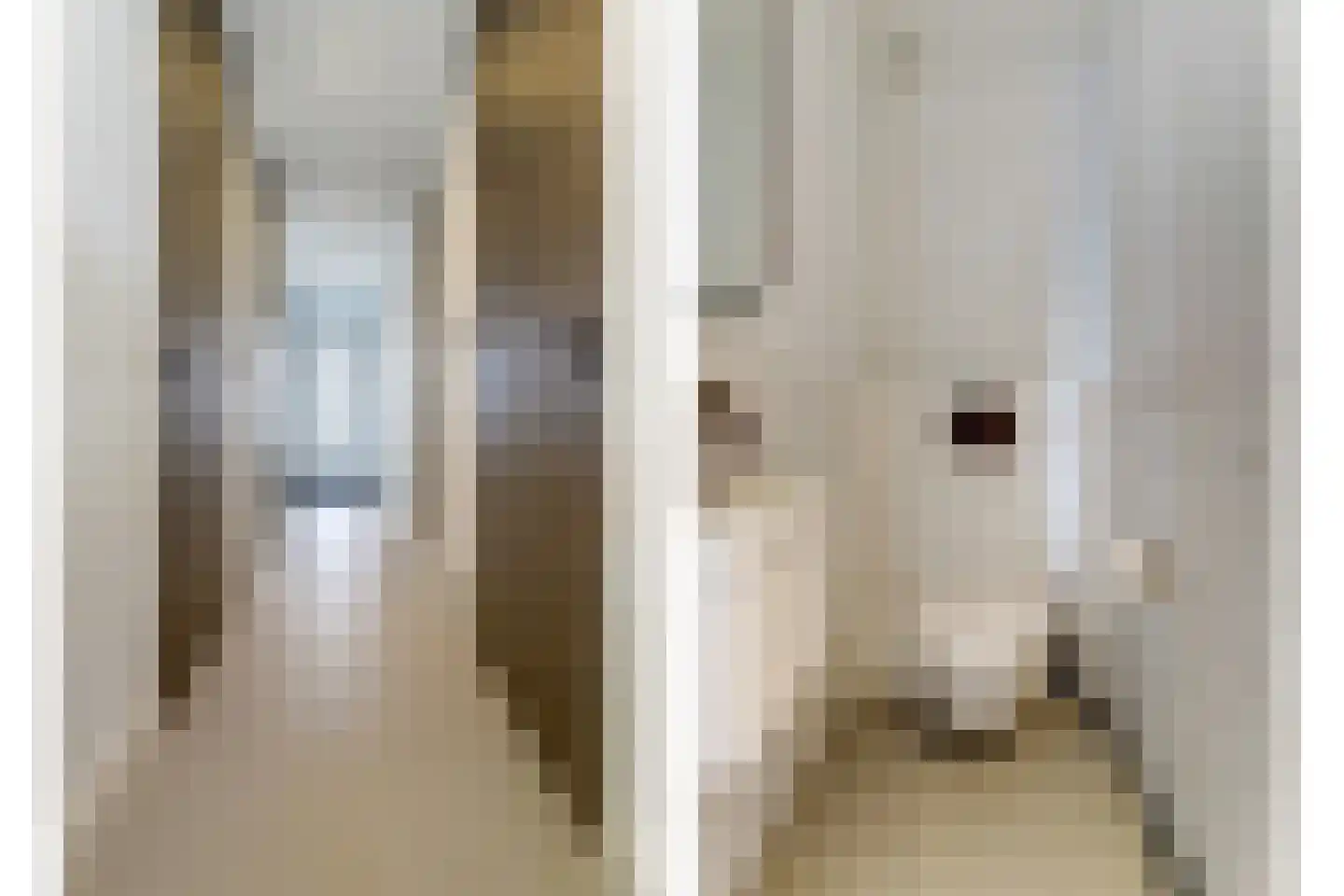 Beurtschippersstraat 12 b Kortgene thumbnail 12