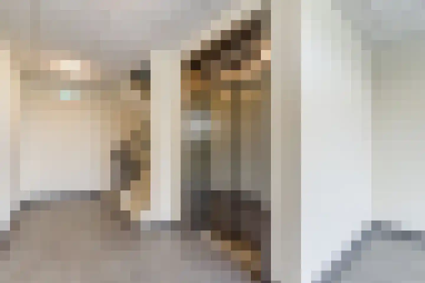 Beurtschippersstraat 12 b Kortgene thumbnail 8