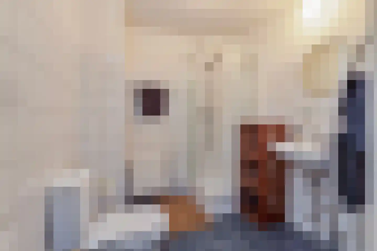 Beurtschippersstraat 17 Kortgene thumbnail 21