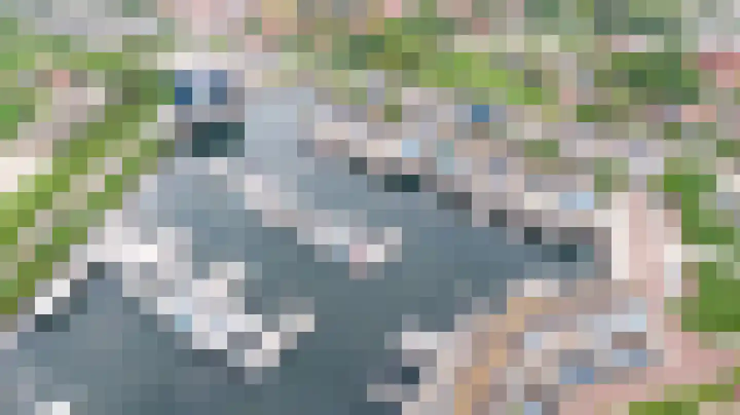 Beurtschippersstraat 17 Kortgene thumbnail 33