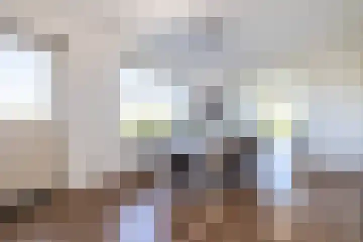 Beurtskipper 15 Bakhuizen thumbnail 12