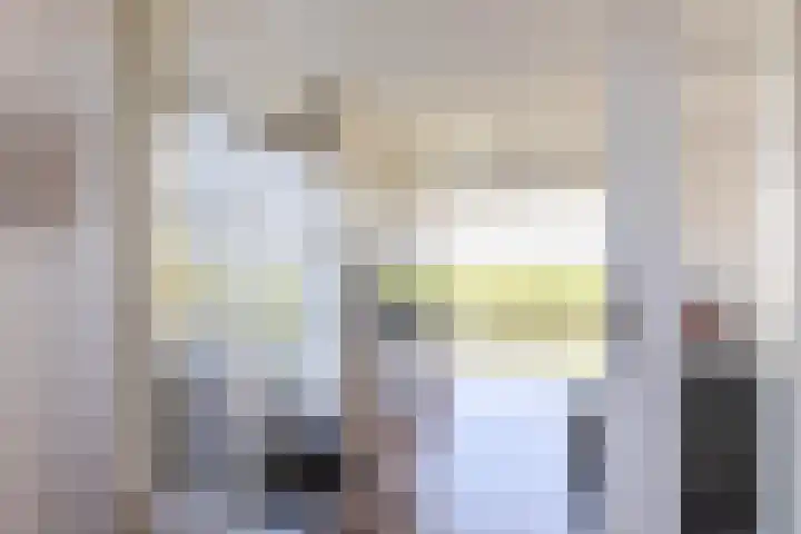 Beurtskipper 15 Bakhuizen thumbnail 13