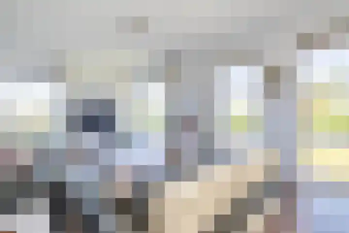Beurtskipper 15 Bakhuizen thumbnail 16