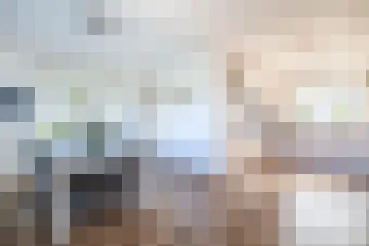 Beurtskipper 15 Bakhuizen thumbnail 18