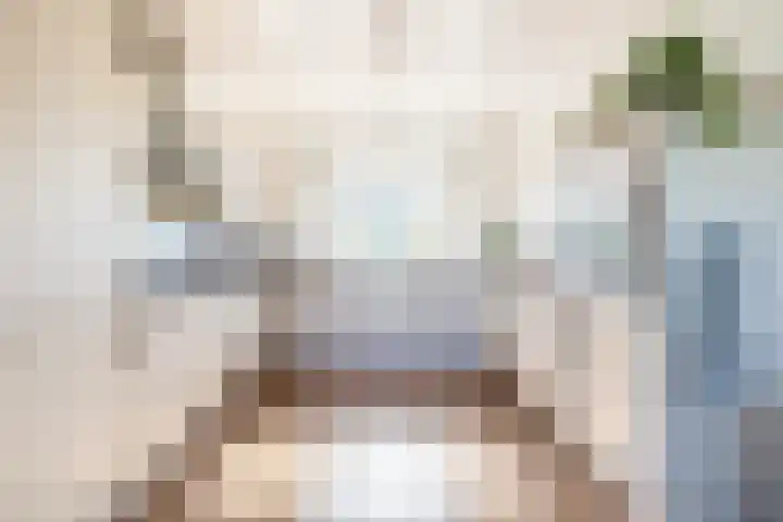 Beurtskipper 15 Bakhuizen thumbnail 20