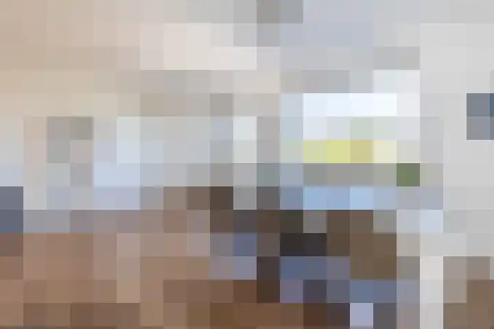 Beurtskipper 15 Bakhuizen thumbnail 22
