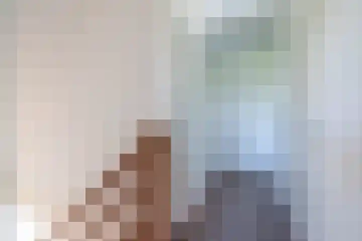 Beurtskipper 15 Bakhuizen thumbnail 25