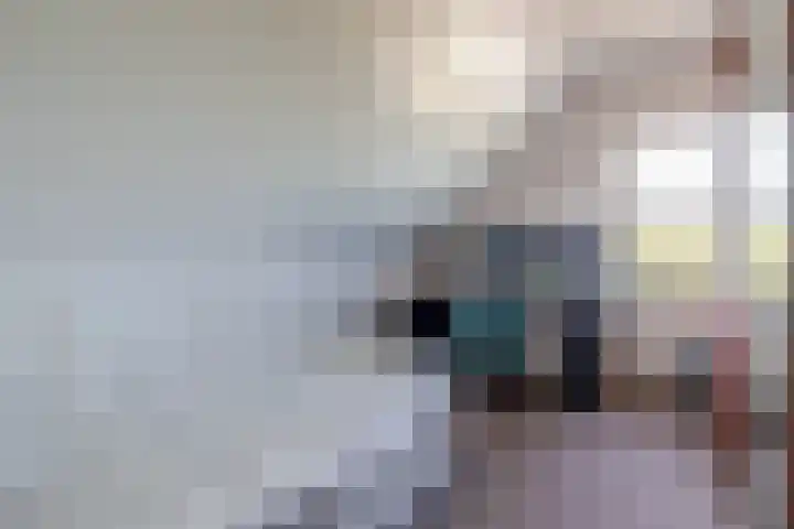 Beurtskipper 15 Bakhuizen thumbnail 26
