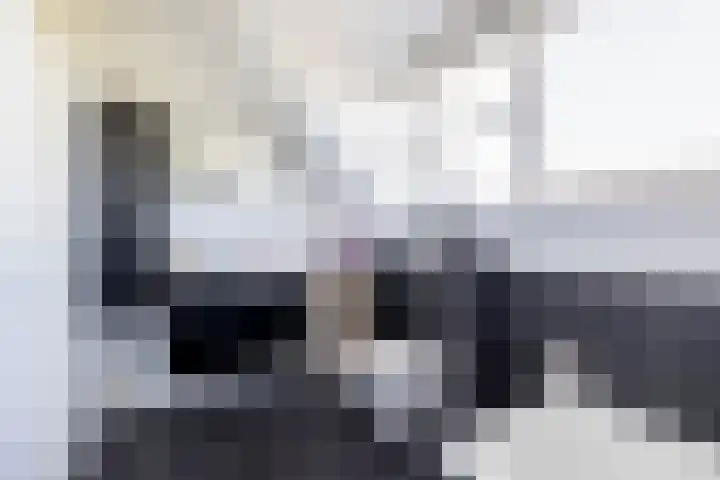Beurtskipper 15 Bakhuizen thumbnail 30