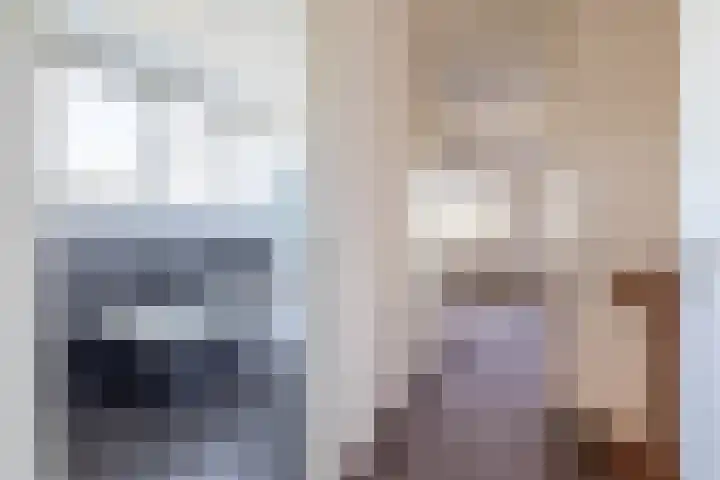 Beurtskipper 15 Bakhuizen thumbnail 31