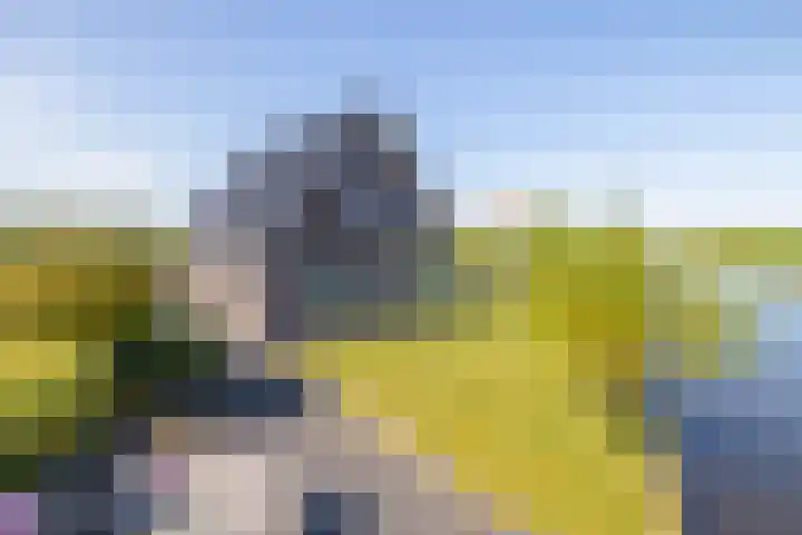 Beurtskipper 15 Bakhuizen thumbnail 36