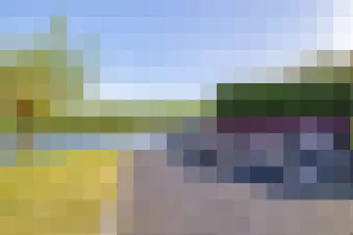 Beurtskipper 15 Bakhuizen thumbnail 37