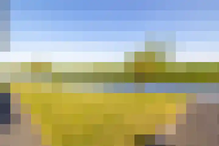 Beurtskipper 15 Bakhuizen thumbnail 40