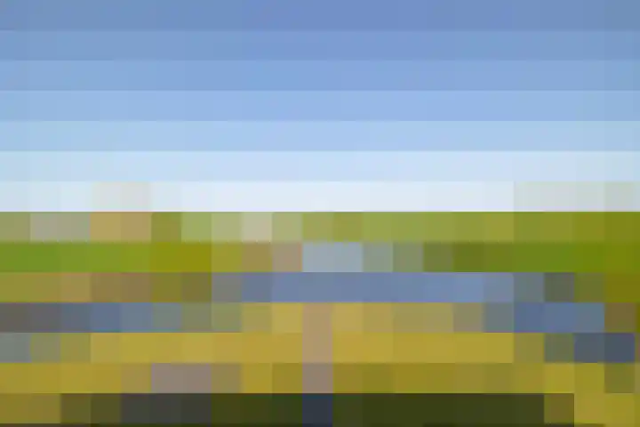 Beurtskipper 15 Bakhuizen thumbnail 41