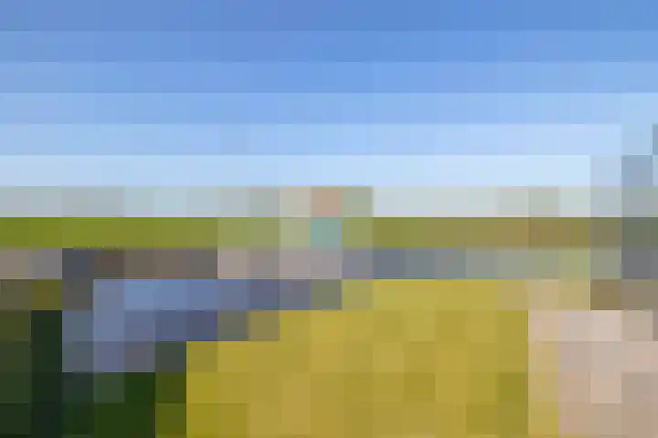 Beurtskipper 15 Bakhuizen thumbnail 45