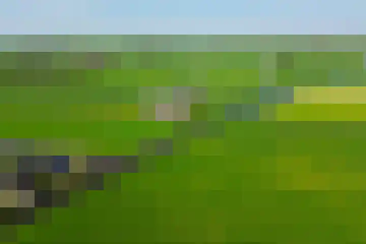 Beurtskipper 15 Bakhuizen thumbnail 51