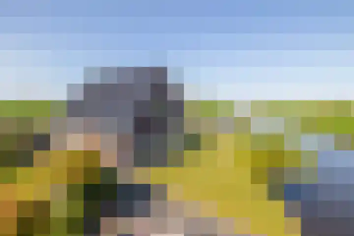 Beurtskipper 15 Bakhuizen thumbnail 6