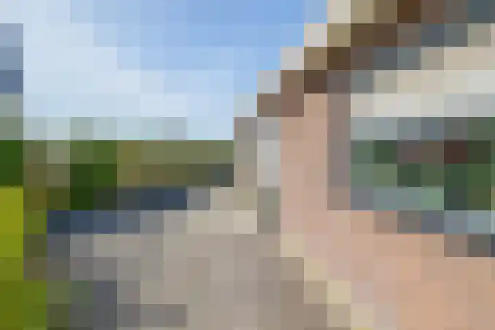 Beurtskipper 15 Bakhuizen thumbnail 7