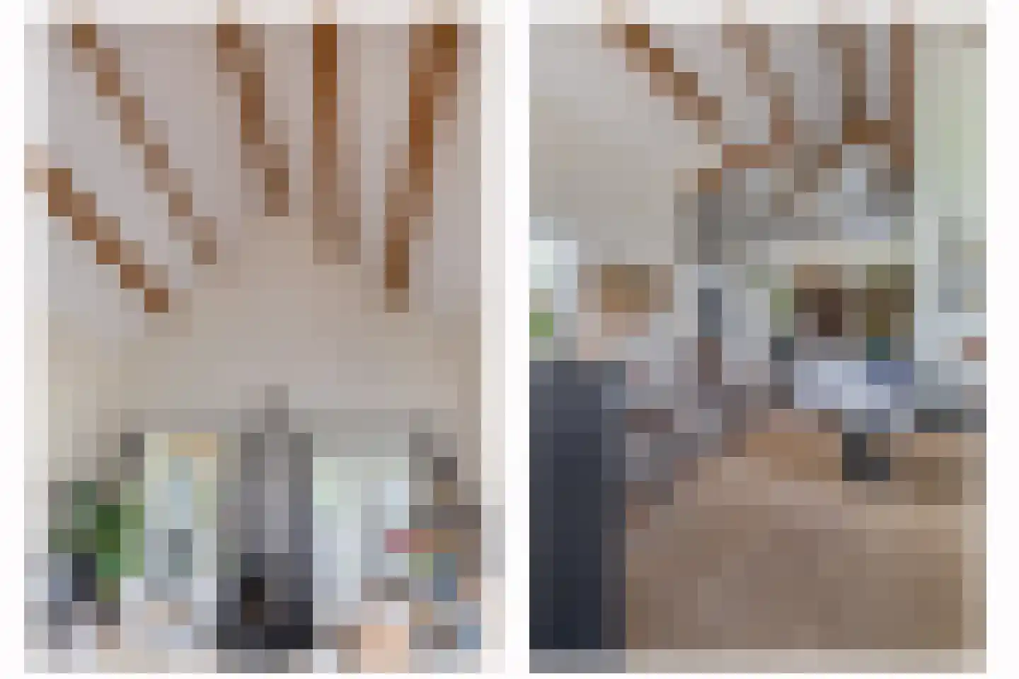 Beurtskipper 4 Bakhuizen thumbnail 14