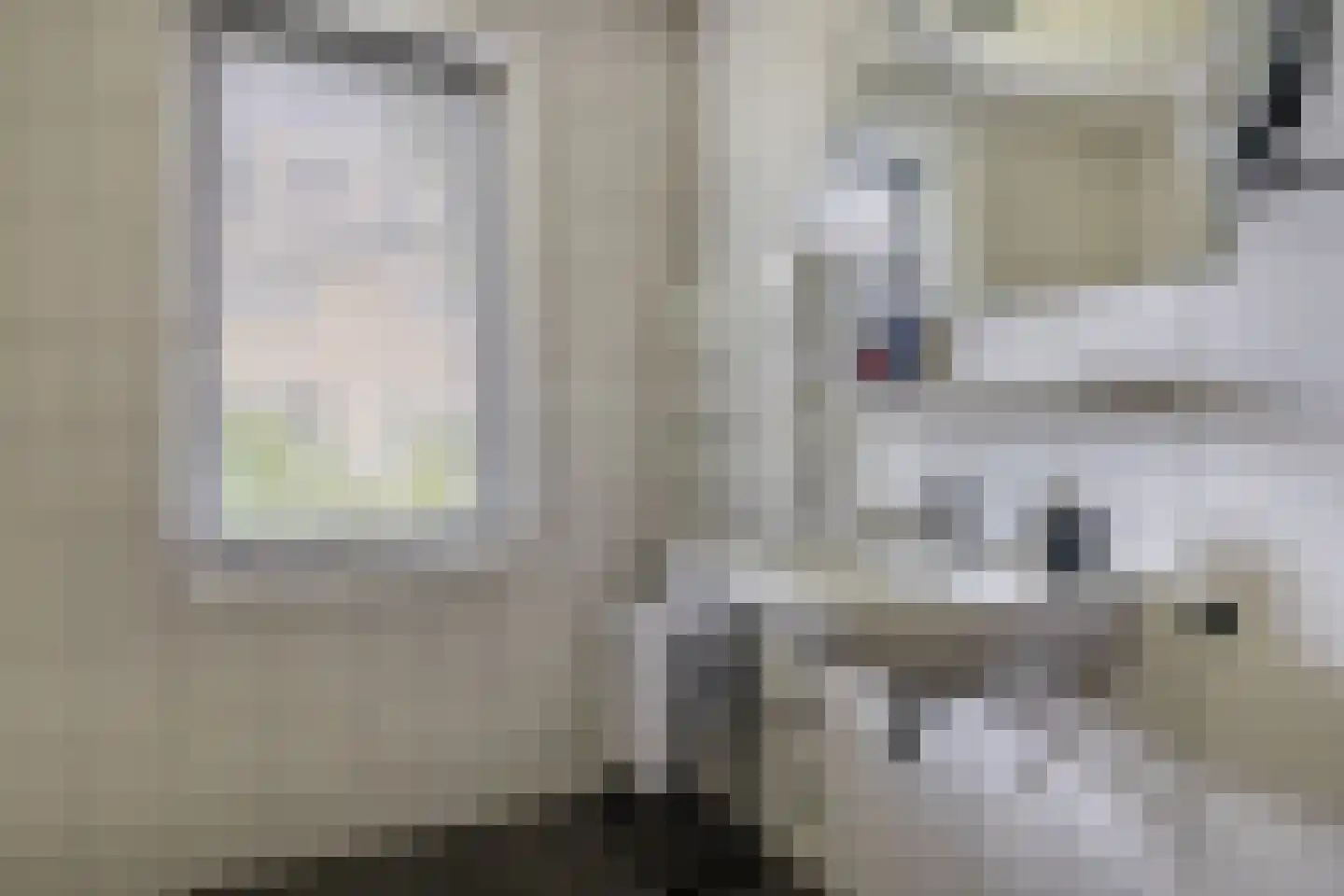 Beurtskipper 4 Bakhuizen thumbnail 25