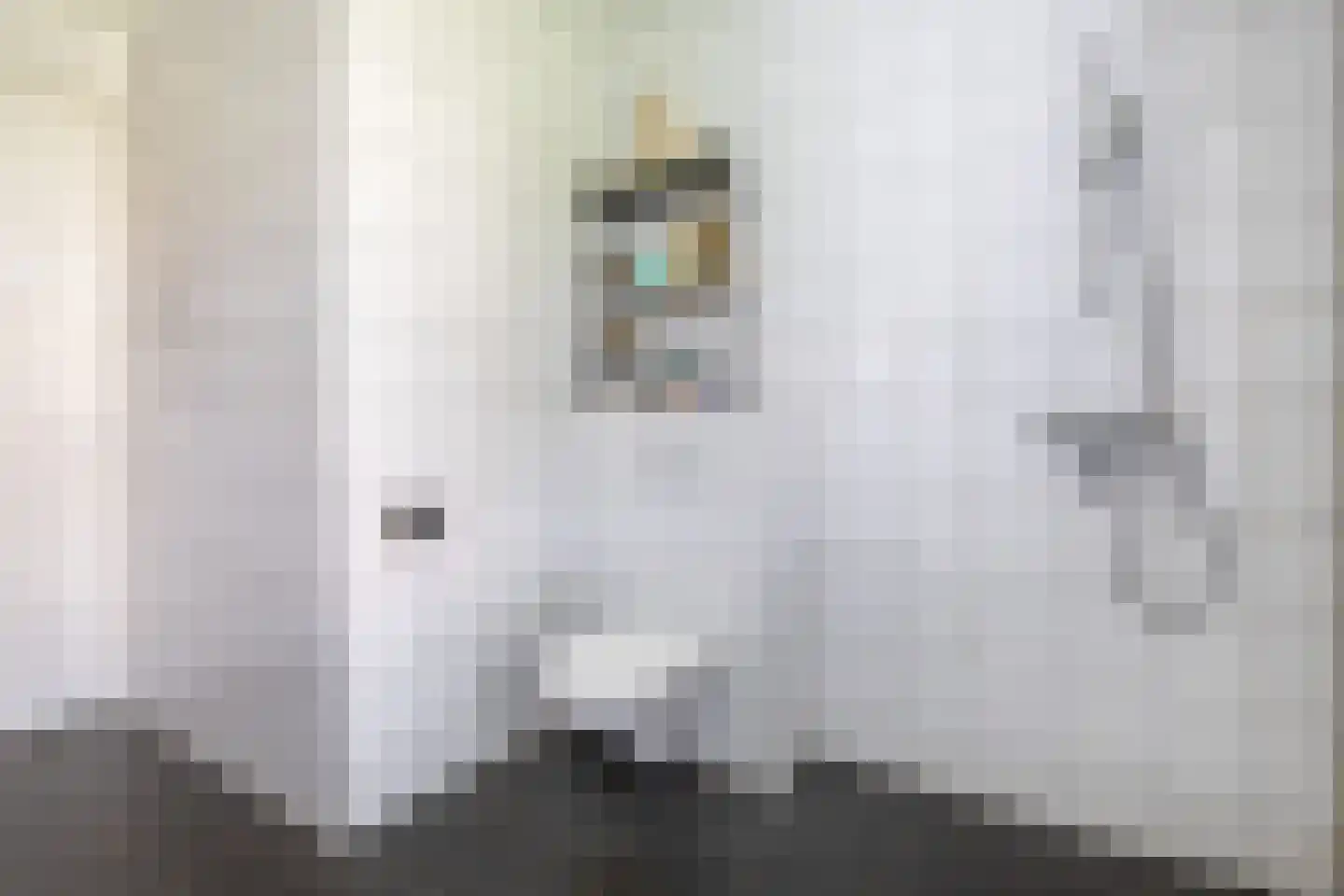 Beurtskipper 4 Bakhuizen thumbnail 26