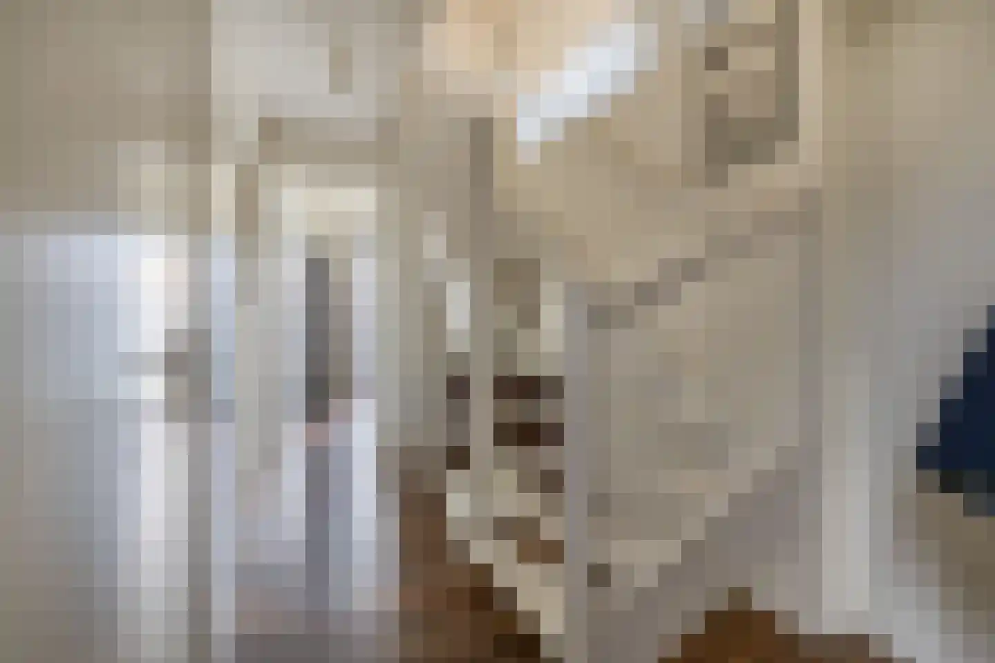 Beurtskipper 4 Bakhuizen thumbnail 28