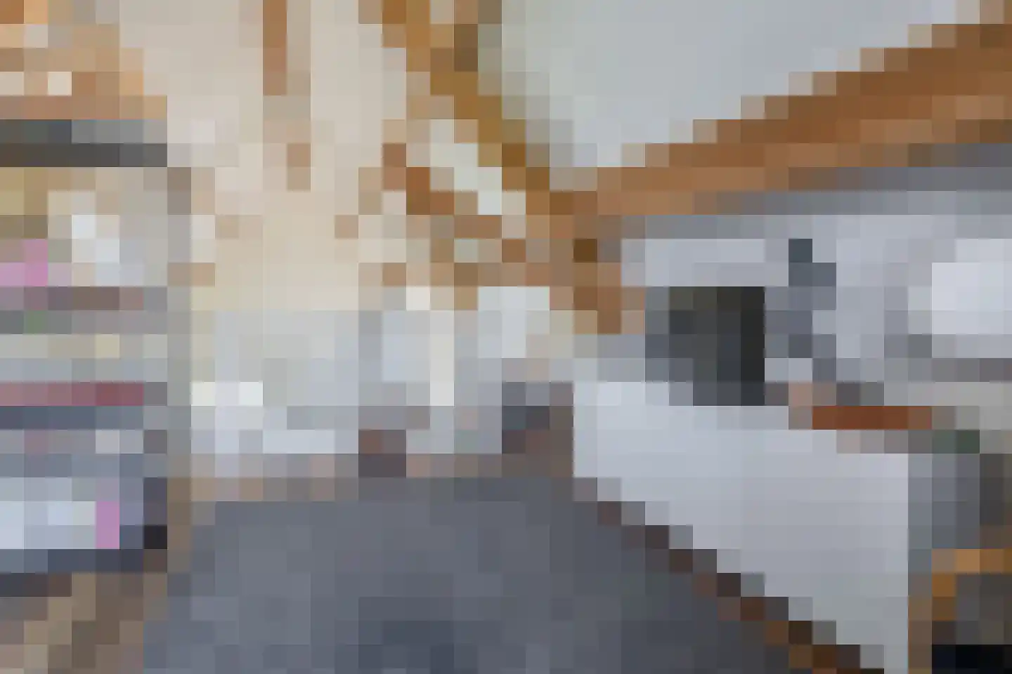 Beurtskipper 4 Bakhuizen thumbnail 31