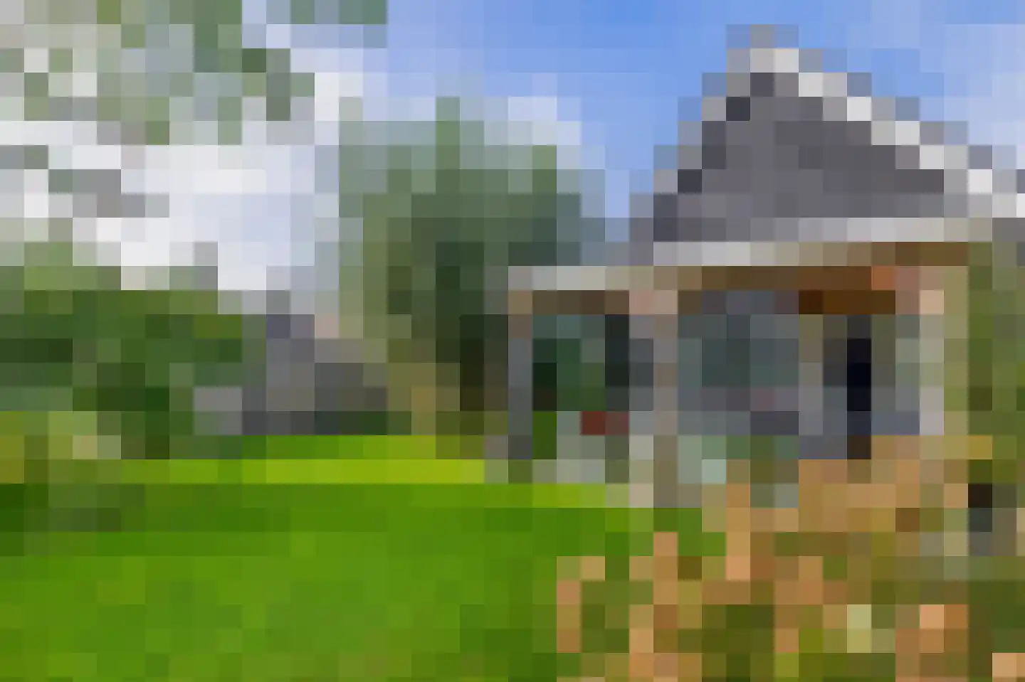 Beurtskipper 4 Bakhuizen thumbnail 38