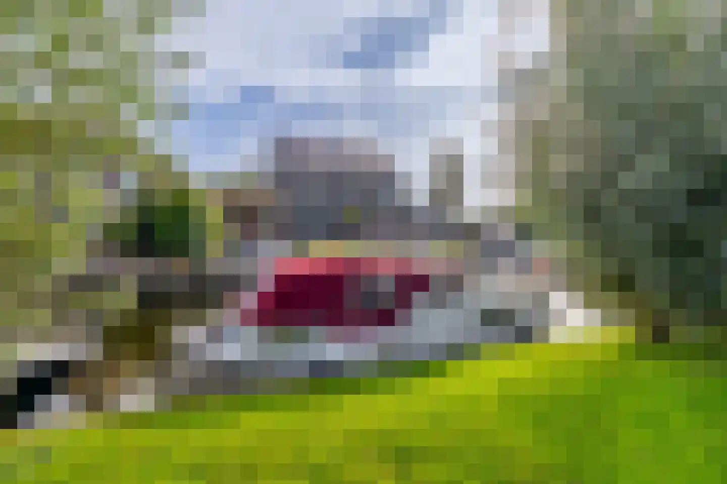 Beurtskipper 4 Bakhuizen thumbnail 39