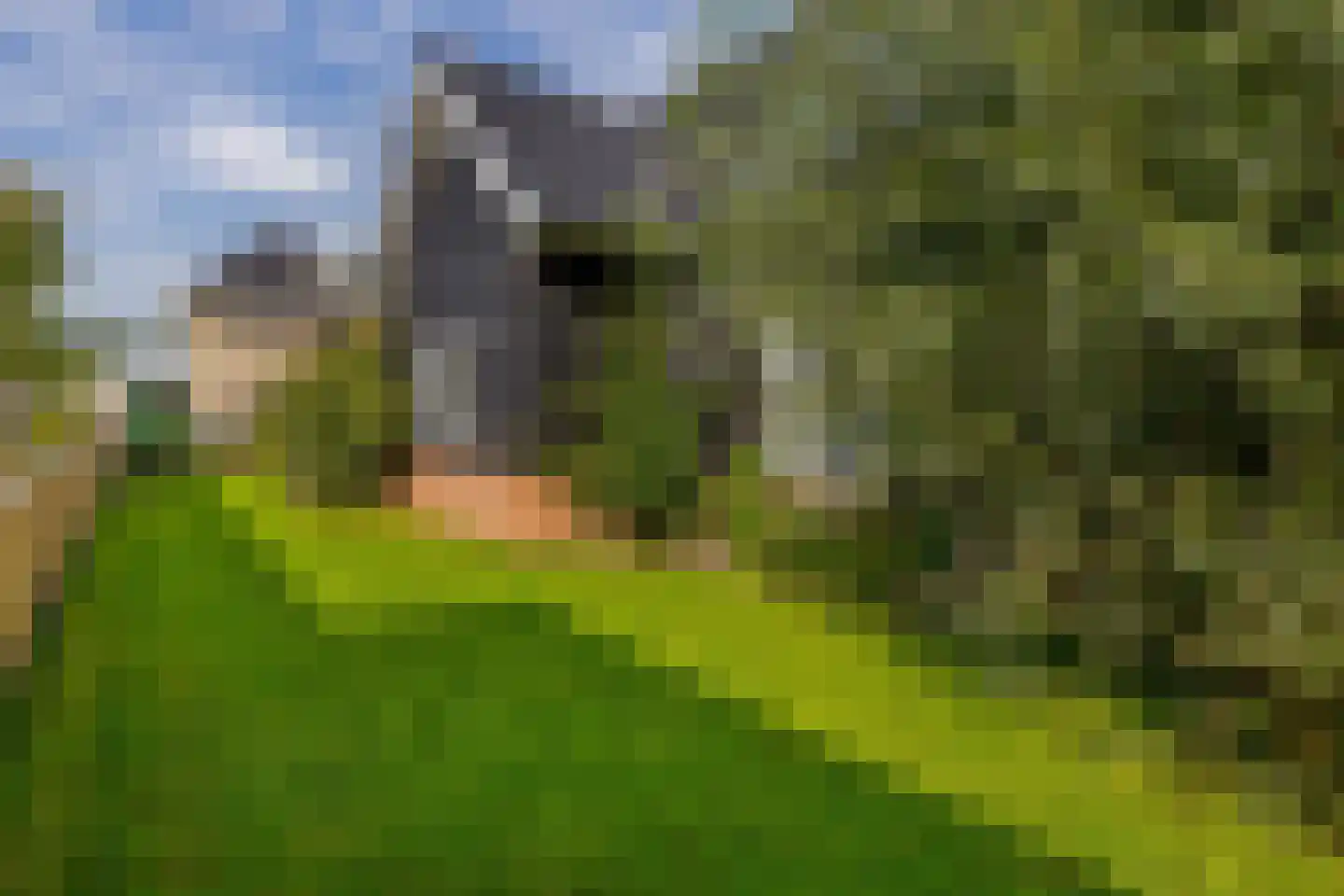 Beurtskipper 4 Bakhuizen thumbnail 43
