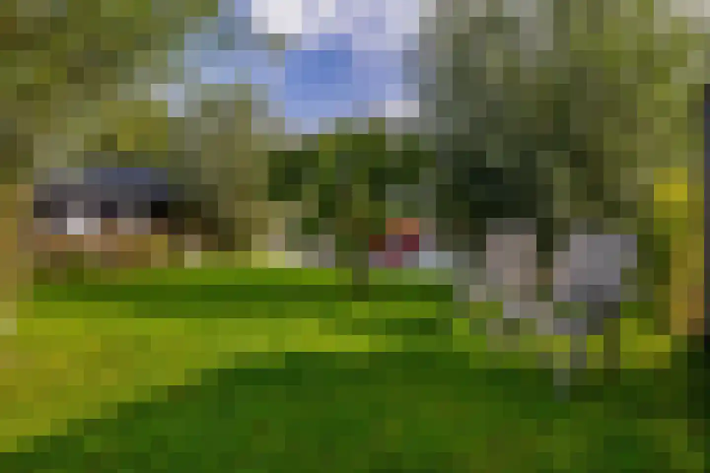 Beurtskipper 4 Bakhuizen thumbnail 44