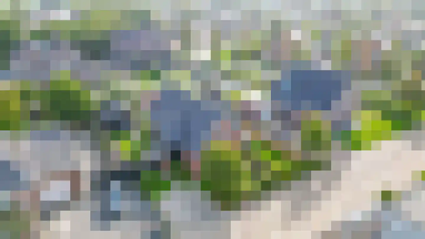 Beurtskipper 4 Bakhuizen thumbnail 48