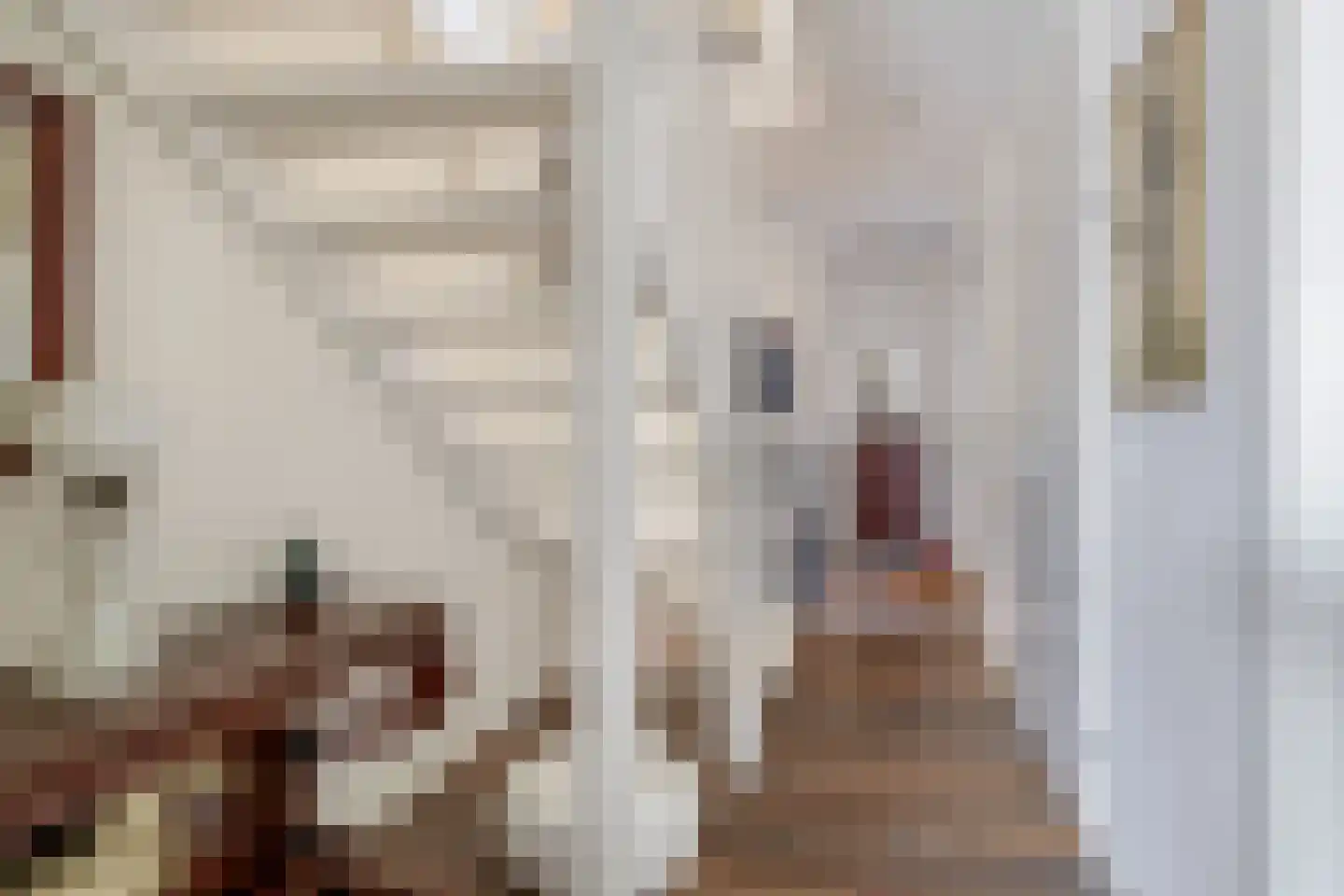 Beurtskipper 4 Bakhuizen thumbnail 7