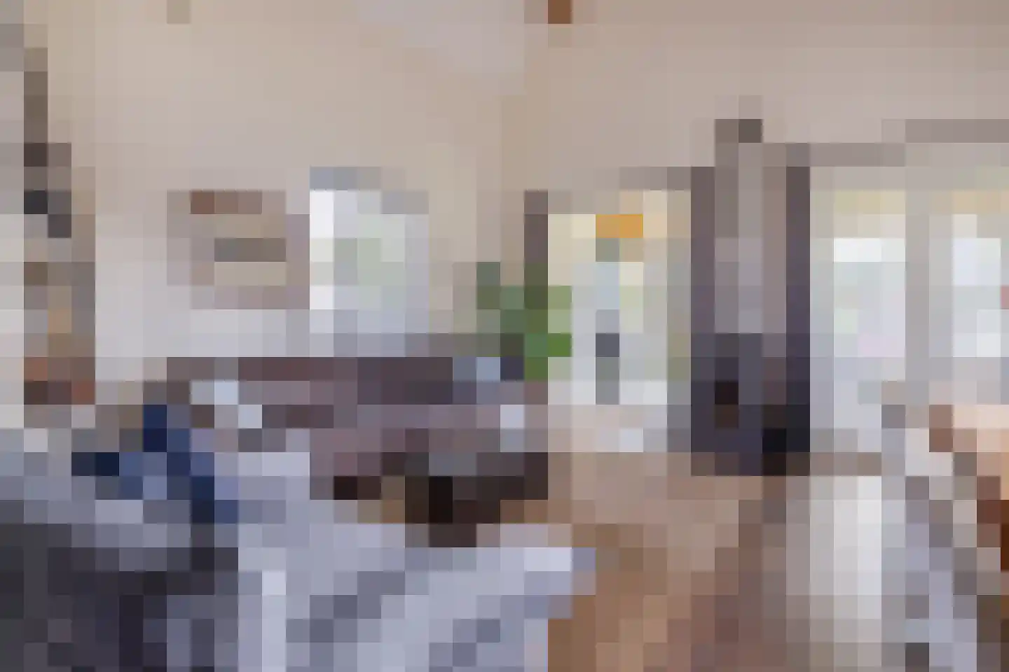 Beurtskipper 4 Bakhuizen thumbnail 9