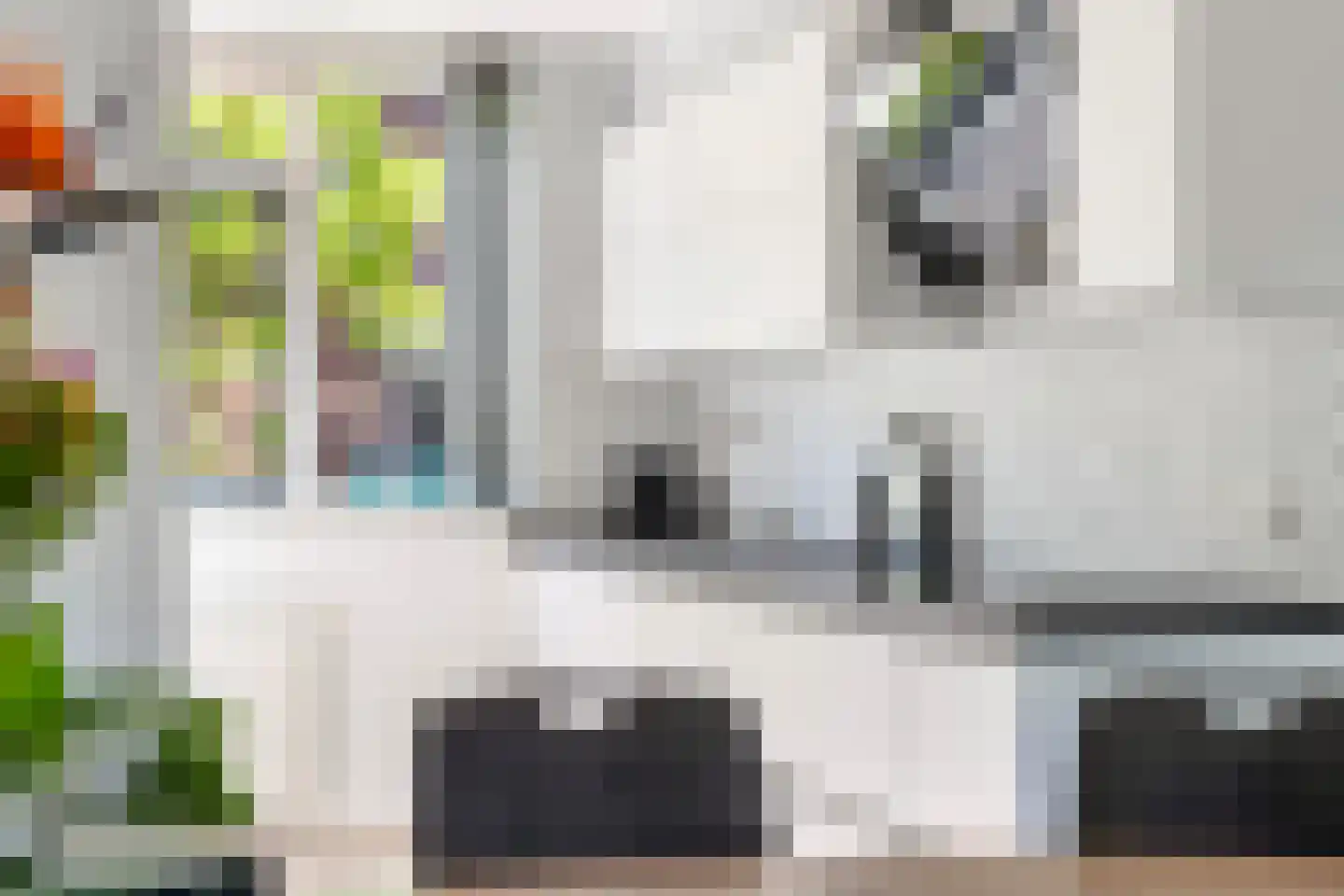 Beurtvaartstraat 111 Apeldoorn thumbnail 12