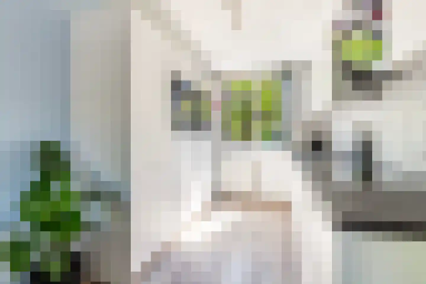 Beurtvaartstraat 111 Apeldoorn thumbnail 13
