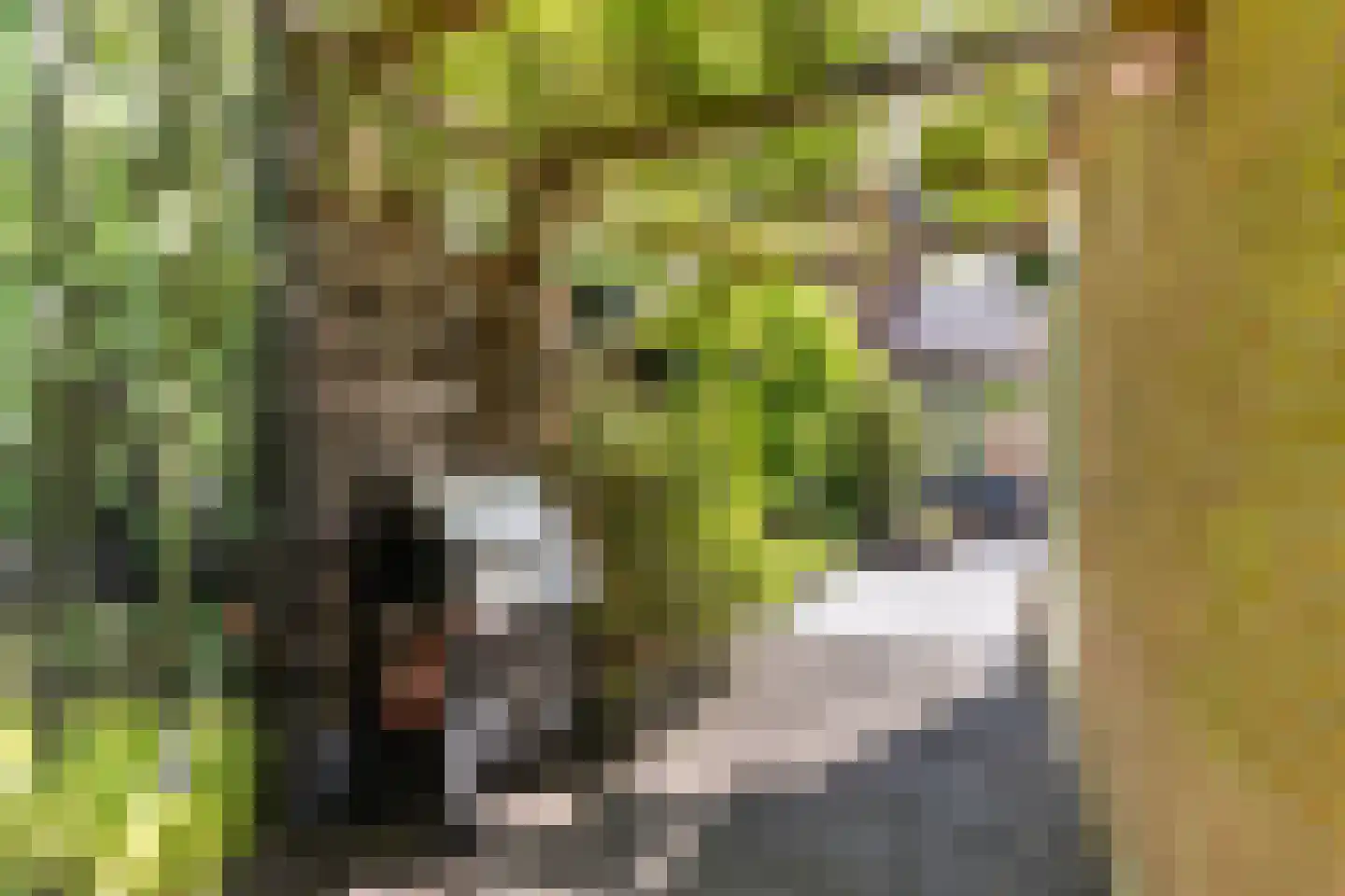 Beurtvaartstraat 111 Apeldoorn thumbnail 15