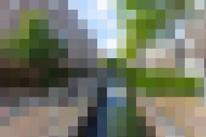 Beurtvaartstraat 36 Apeldoorn thumbnail 27